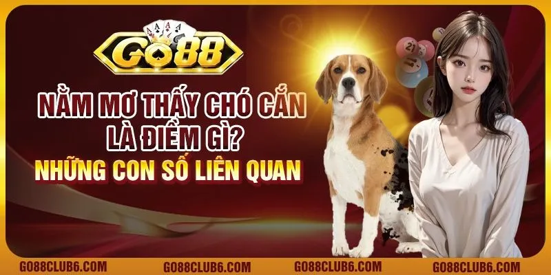 Nằm mơ thấy chó cắn là điềm gì? Những con số liên quan