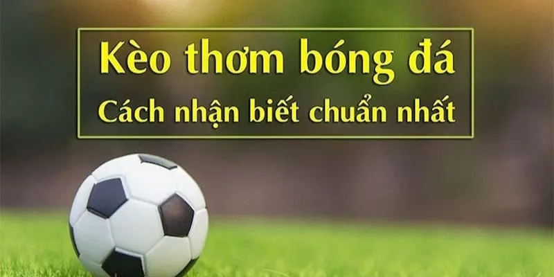 Cách chọn kèo thơm bóng đá hiệu quả để thu về lợi nhuận cao